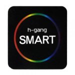 H-Gang H-Gang
